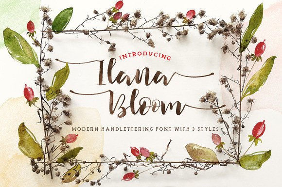 Ilana Bloom: The Modern, Feminine Typeface for Elegant Design