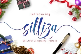 Silliza Script: Understanding a Modern Calligraphy Option
