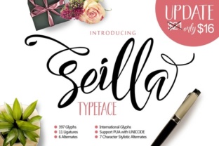 The Artful Flow of Seilla Script: Modern Lettering for Expressive Design